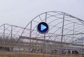 苏州温室连栋大棚视频拍摄