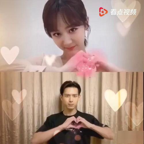 李现杨紫最新圈内爆料视频,揭秘娱乐圈幕后真相