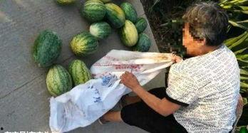 吃瓜最新事件爆料介休,吃瓜群众揭秘最新事件内幕