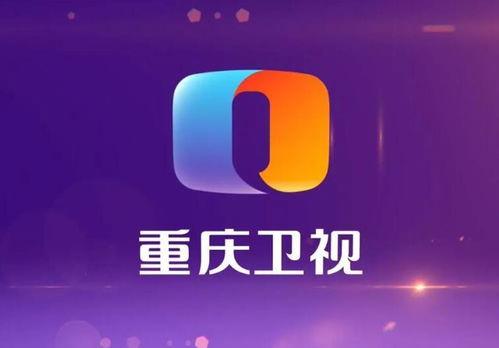 重庆卫视爆料最新消息,揭秘重大事件背后真相！