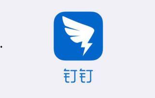 钉钉最新版本勋章爆料,勋章功能全新升级，解锁职场荣耀新篇章